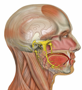 sintomas adormecimiento facial